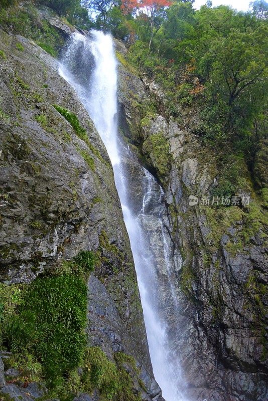 Sendantodrokinotaki , Japan 栴 (100 waterfalls in Japan, Kyushu Central Mountains National Park)